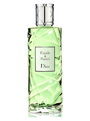 Cruise Collection Escale a Parati by Dior