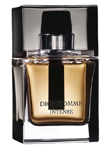 Homme Intense 2007 by Dior