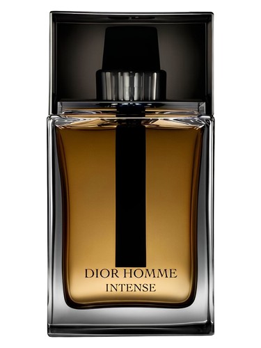 Homme Intense 2011 by Dior