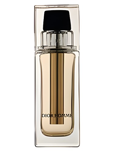 Homme Voyage by Dior