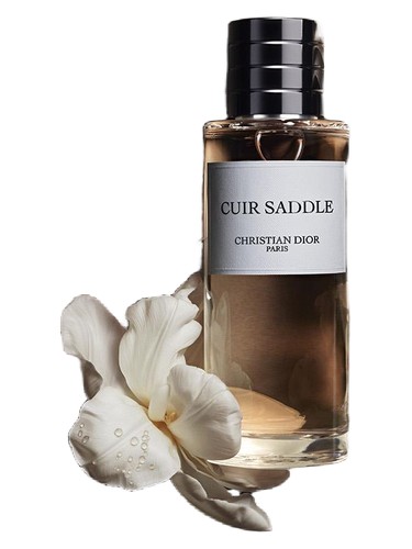 Cuir Saddle by Dior