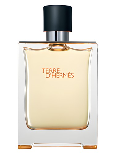 Terre d'Hermès by Hermès