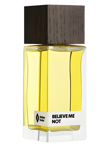 Believe Me Not by Hidden Desire