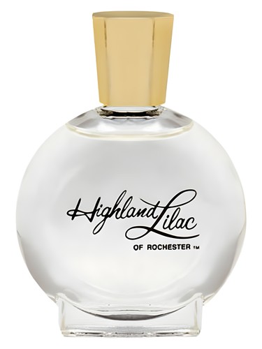 Highland Lilac by Highland Lilac of Rochester