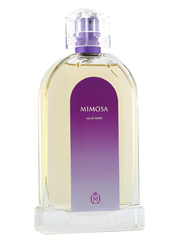 Les Fleurs Mimosa by Molinard