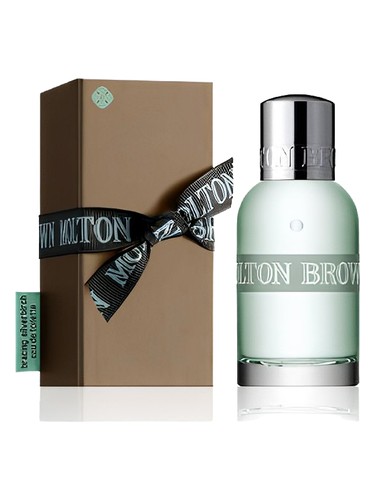 Bracing Silverbirch by Molton Brown