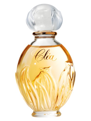Clea by Yves Rocher