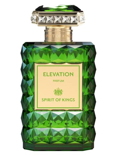 Elevation by Spirit Of Kings