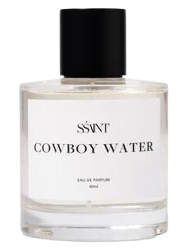 Cowboy Water by Sśaint