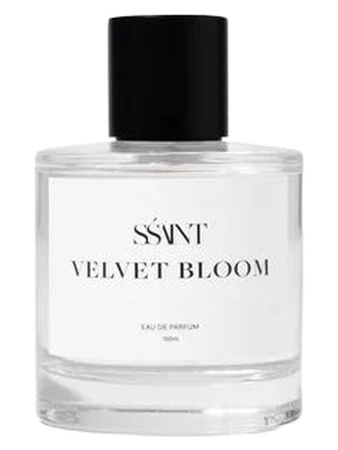 Velvet Bloom by Sśaint