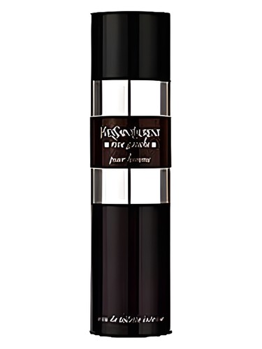 Rive Gauche Pour Homme Intense by Yves Saint Laurent