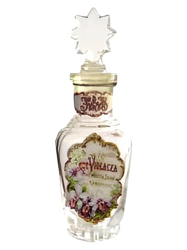 Violacea by F. Wolff & Sohn