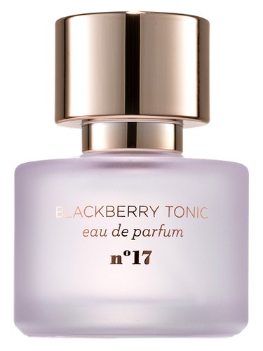 Blackberry Tonic by Mix:Bar