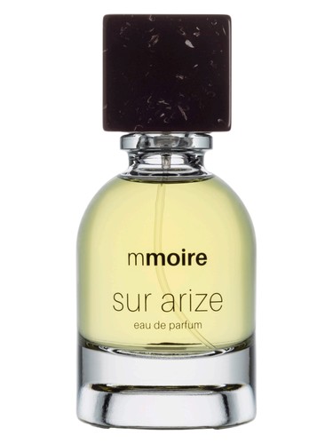 Sur Arize by Mmoire