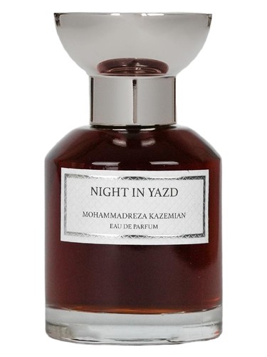Night in Yazd by Mohammadreza Kazemian