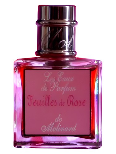 Feuilles de Rose by Molinard