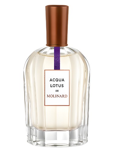 Acqua Lotus by Molinard