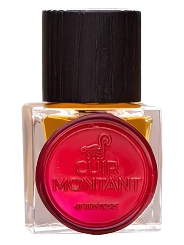 Cuir Montant by Jinx Smells