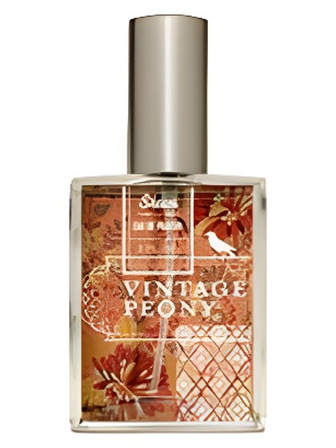 Vintage Peony by Skeem