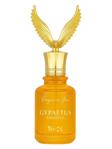 Gypaetus by YANI