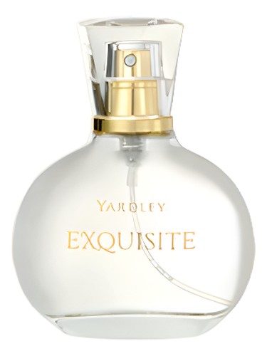 Exquisite by Yardley