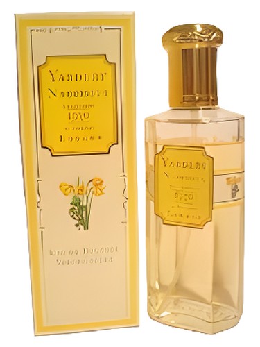 Narcissus by Yardley