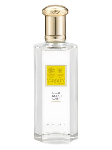 Royal English Daisy by Yardley