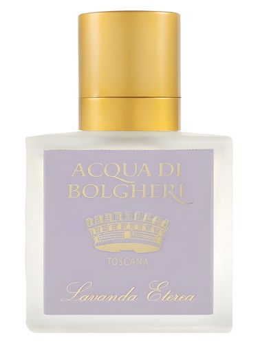 Lavanda Eterea by Dr. Taffi