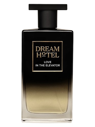 Love In The Elevator by Dream Hotel