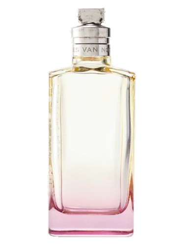 Orange Smoke by Dries Van Noten