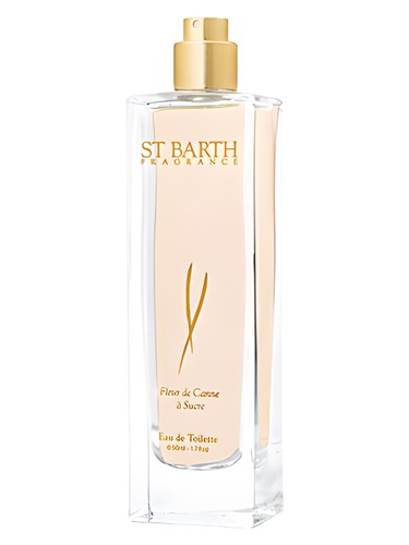 Fleur de Canne a Sucre by Ligne St. Barth