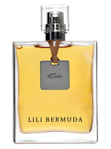 Cedar by Lili Bermuda