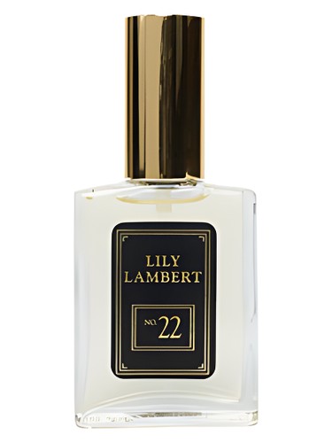 Master Number No. 22 by Lily Lambert