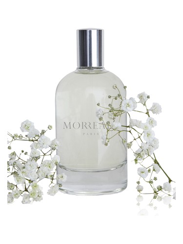 Morreale Pour Homme by Morreale Paris