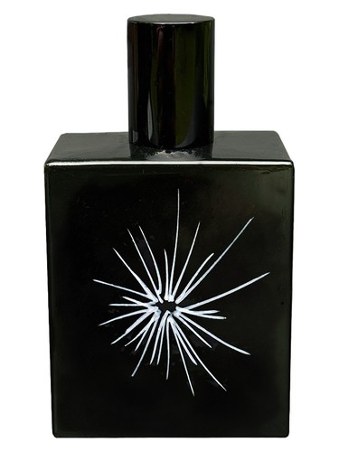 X-Ray by Space Fluid