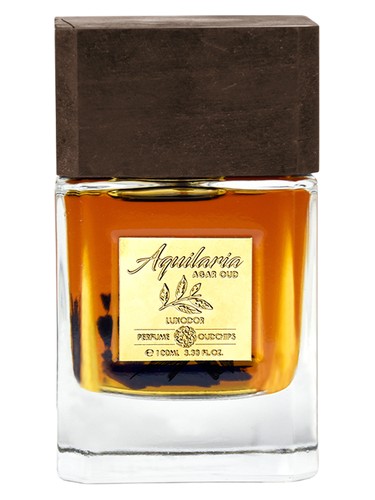 Aquilaria by Luxodor
