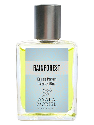 Rainforest by Ayala Moriel