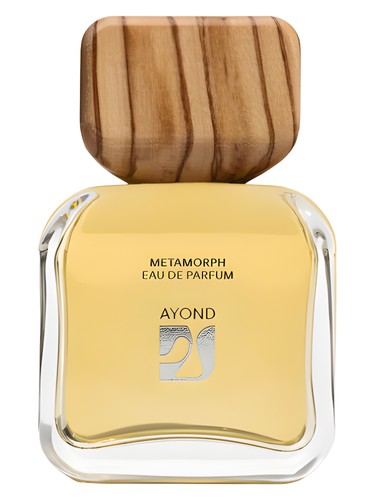 Metamorph by Ayond