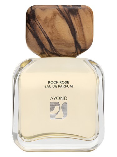 Rock Rose by Ayond