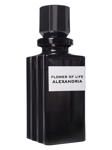 Flower of life Alexandria by Artenisia