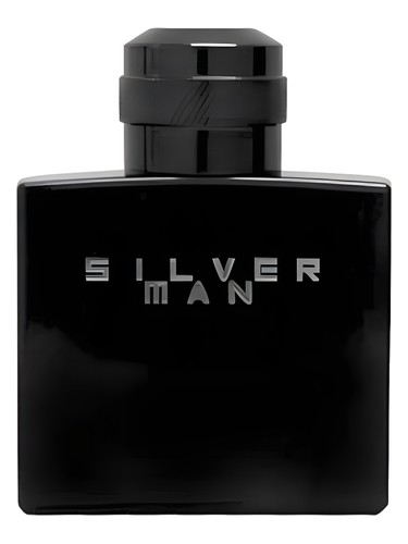 Silver Man by Jeanne Arthes