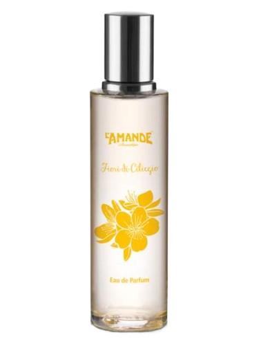 Fiori di Ciliegio by L'Amande