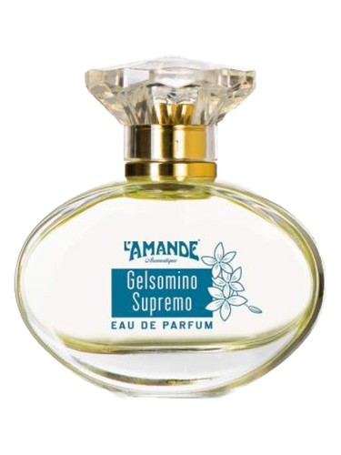 Gelsomino Supremo by L'Amande