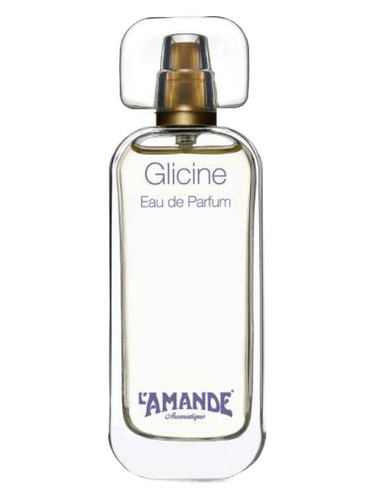 Glicine by L'Amande