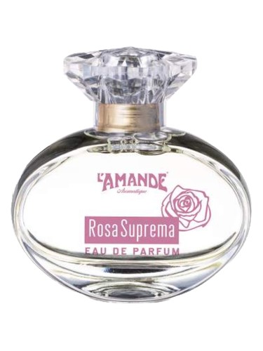 Rosa Suprema by L'Amande