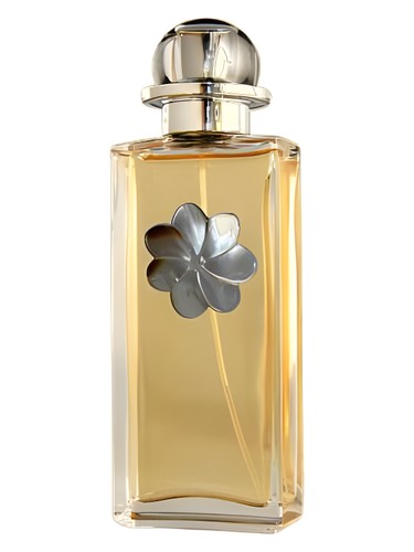 Tiare Moana by L'Atelier Boheme