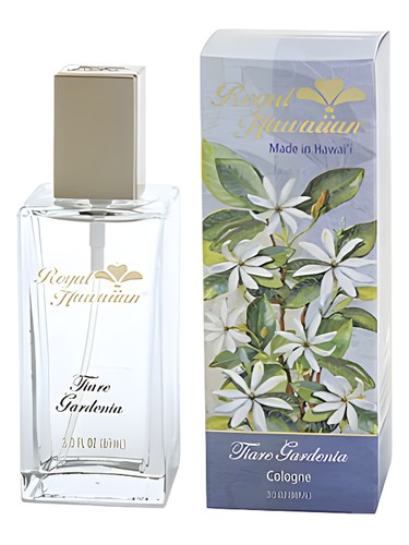 Tiare Gardenia by Royal Hawaiian