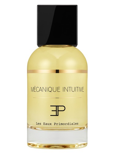 Mécanique Intuitive by Les EAUX Primordiales
