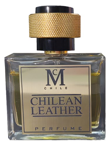 Chilean Leather by Casaniche
