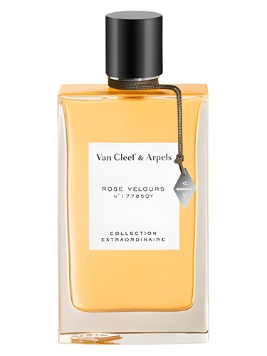 Rose Velours by Van Cleef & Arpels